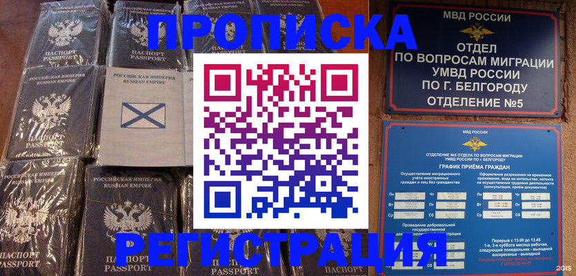 прописка гарантия в Белгородской области